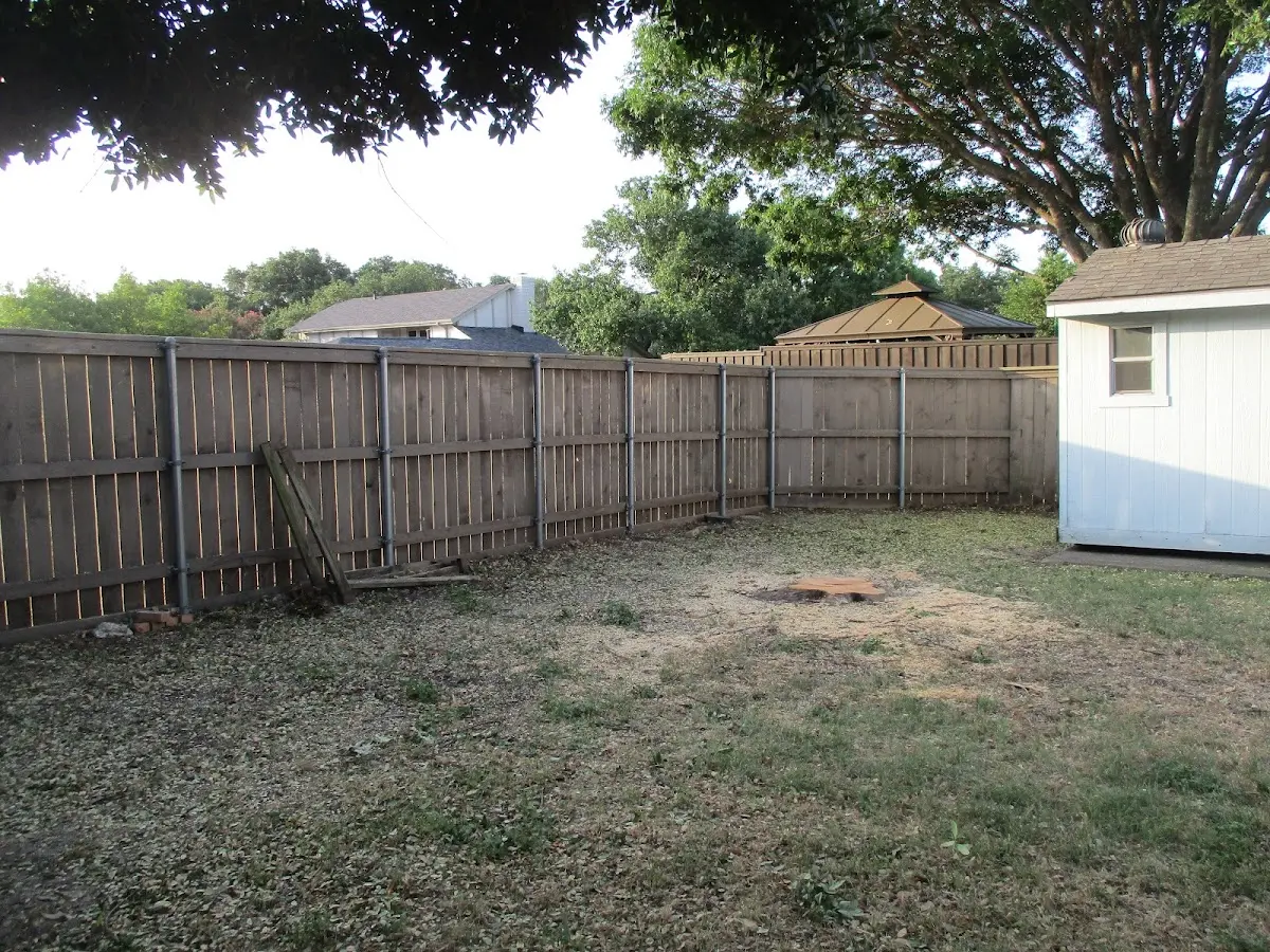 Cleared yard after professional tree removal in Medanales